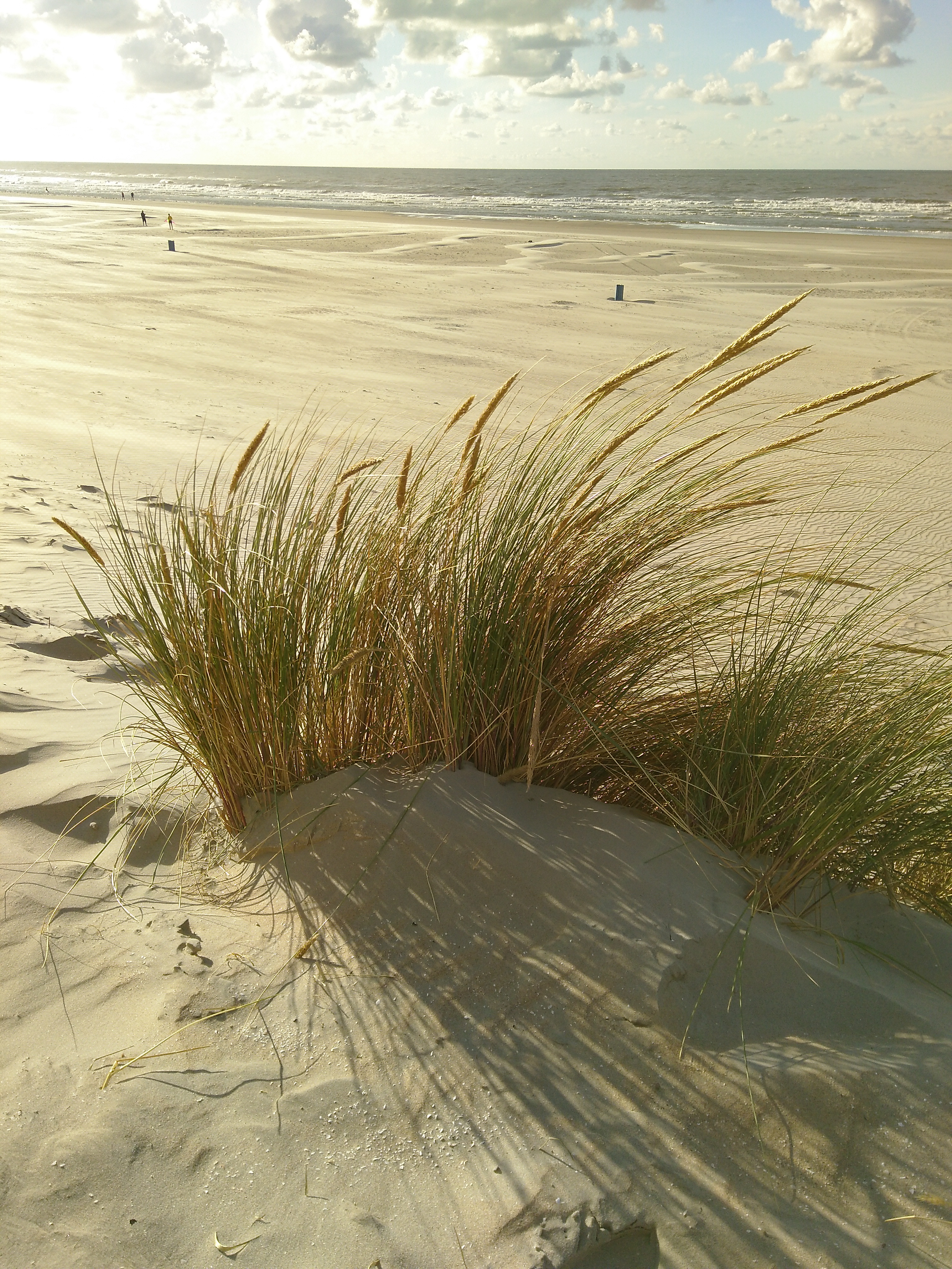 Ameland